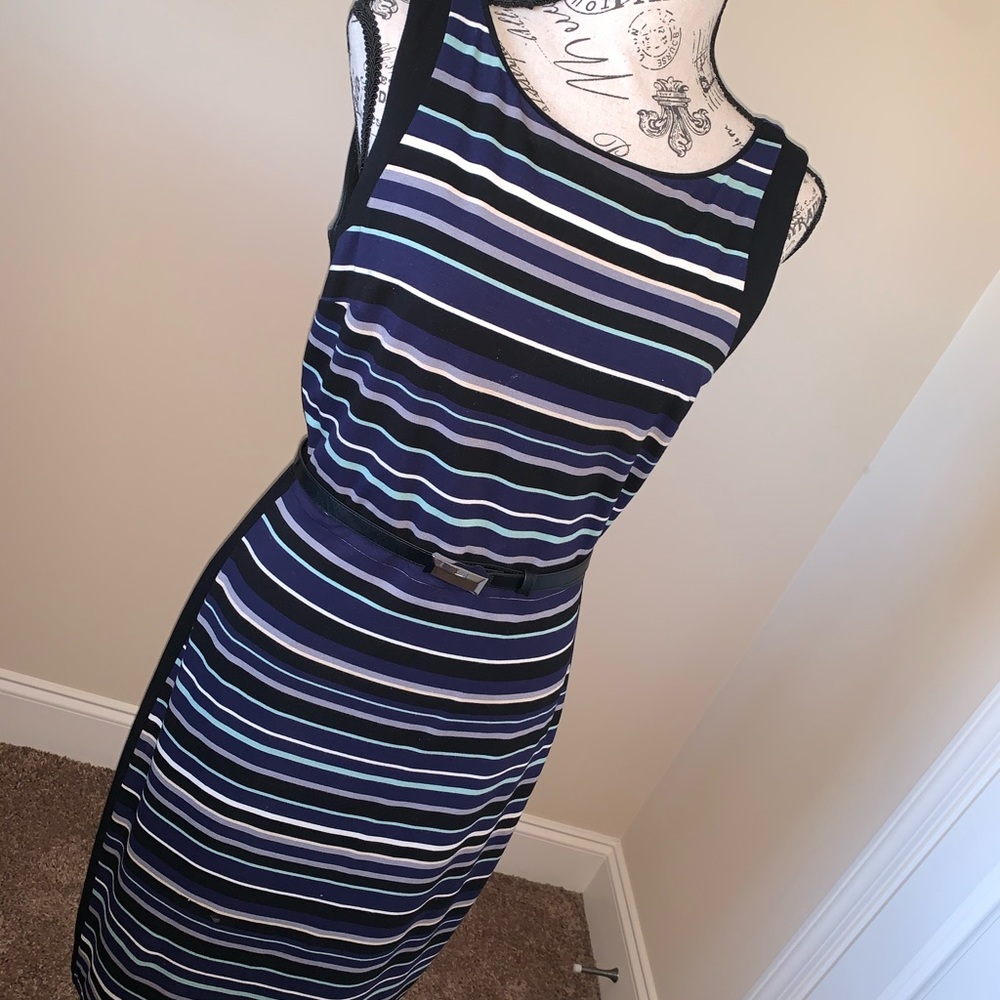 Beautiful WHBM Sheath Dress belted.
